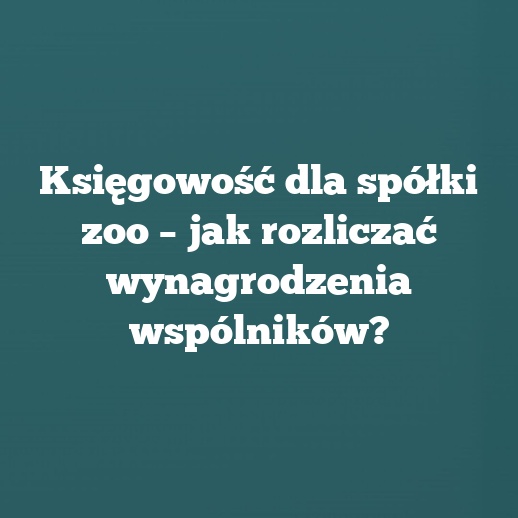 Księgowość dla spółki zoo – jak rozliczać wynagrodzenia wspólników?