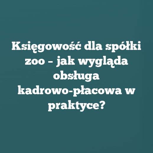 Księgowość dla spółki zoo – jak wygląda obsługa kadrowo-płacowa w praktyce?