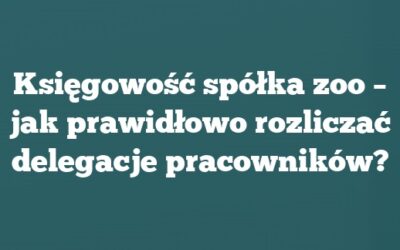 Księgowość spółka zoo – jak prawidłowo rozliczać delegacje pracowników?
