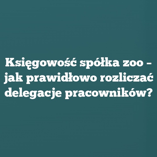 Księgowość spółka zoo – jak prawidłowo rozliczać delegacje pracowników?